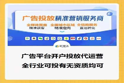 某行业领军企业的SEM广告投放策略